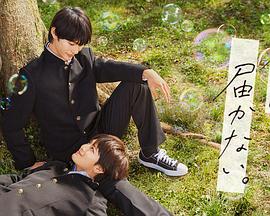 seo优化要做些什么